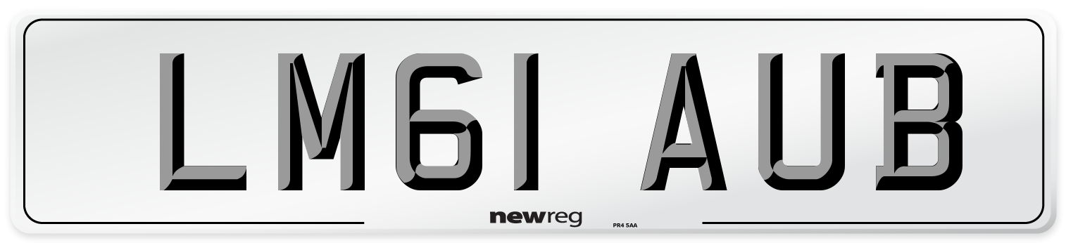 LM61 AUB Number Plate from New Reg